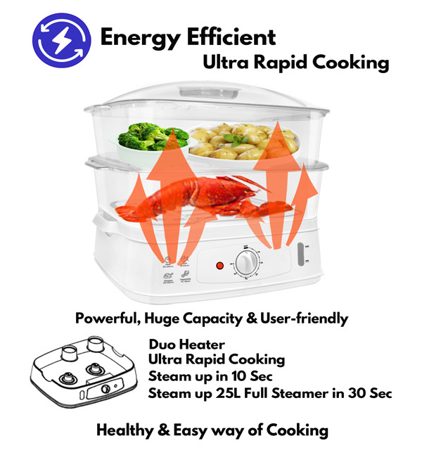 Energy Efficient Steamer